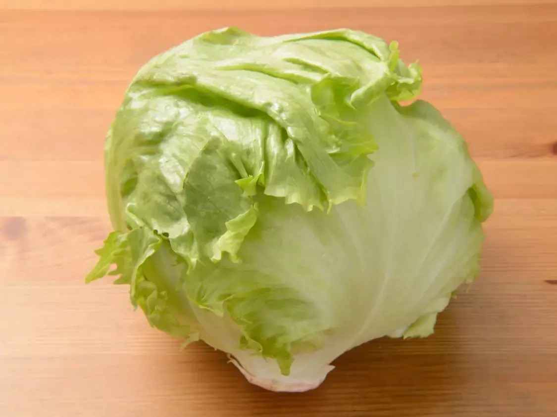 Head lettuce レタス