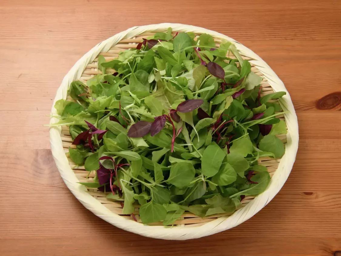 Mesclun ベビーリーフ